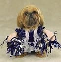 Halloween Costume Small Dog Spirit Paws