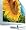 Philips 42PFL6805H/12 107 cm (42 Zoll) LED-Backlight-Fernseher (Full-HD, 50Hz, Eco LED-Serie) Geb&uuml;rstetes Aluminium
