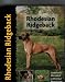 Rhodesian Ridgeback (Pet love) width=