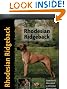 Rhodesian Ridgeback