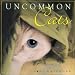 Uncommon Cats 2003 Calendar