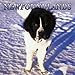 Newfoundlands 2005 Wall Calendar
