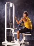 Maxicam Arm Curl