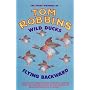 Wild Ducks Flying Backward