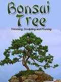Bonsai For Beginners 511W7iv2mEL. SL160 Bonsai For Beginners