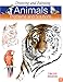 Drawing and Painting Animals: Problems & Solutions (Problems and Solutions)