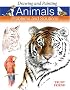 Drawing and Painting Animals: Problems & Solutions (Problems and Solutions)
