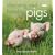 Choosing and Keeping Pigs: A Complete Practical Guide