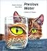 free preschool educational supplies
Precious Water