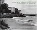 Living with the Puerto Rico Shore (Living with the Shore) by David M. Bush ISBN 0822315904