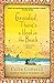 Grandad, There's a Head on the Beach: A Jimm Juree Mystery (Jimm Juree Mysteries)
