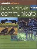 Cover for 9781844761807