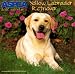 Book Yellow Labrador Retr Cale 2000 (Aspca Dog and Cat Breed Series)