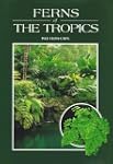 Ferns of the Tropics