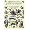 buy fantasy or mythology reference books