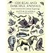 1300 Real and Fanciful Animals (Dover Pictorial Archives)