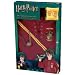 Harry Potter Deluxe Quidditch Costume Kit