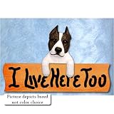 American Staffordshire Terrier I Live Here Too Maple Finish Sign BRINDLE