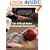 The Official Rules of Baseball Illustrated