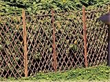 Willow Divider Garden Fence