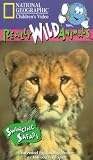 Really Wild Animals - Swinging Safari [UK IMPORT] - Dudley Moore