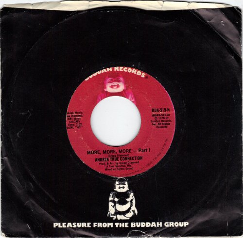 ANDREA TRUE CONNECTION - The Best Of The Andrea True Connection - Zortam Music