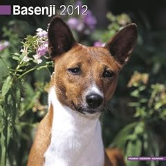 Kalender 2012 Basenji