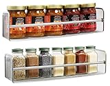 DecoBros 2 Pack Wall Mount Single Tier Mesh Spice Rack, Chrome