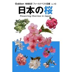 ���{�̍� (�t�B�[���h�x�X�g�}��)