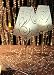 Wine Glass Vellum Lamp Shades - Set of 12