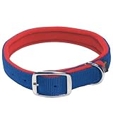 Fleece Lined 1 x 21 Blue Nylon Collar
