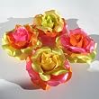 Gift Box of Multi Color Sherbet Rose Hair Clip & Pin Combo Backings
