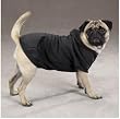 Dog Apparel - Zack & Zoey Basic Hoodie for Dogs - Black - Medium