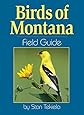 Birds of Montana Field Guide (Bird Identification Guides)