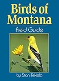 Birds of Montana Field Guide (Bird Identification Guides)