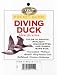 Book Diving Ducks Identification Pocket Guide (Complete Hunter)