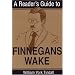 A Reader's Guide to Finnegans Wake (Irish Studies)
