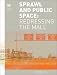 Sprawl and Public Spaces: Redressing the Mall