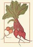 Chez Panisse Vegetables 画像
