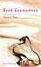 Brief Encounters: The Women's Guide to Casual Sex