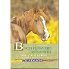 Bach Flower Remedies for Your Horse: The Relaxation and Alleviation of Symptoms
