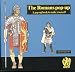 Books : The Romans Pop-Up (Ancient civilisations pop-ups)