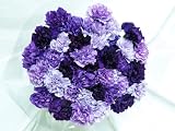 140 Fresh-cut Mixed Purple Carnations (advance ordering recommended)