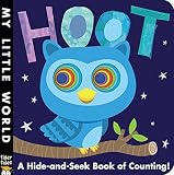 Hoot: A Hide-and-Seek Book of Counting (My Little World)