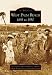 West Palm Beach: 1893 to 1950  (FL)   (Images of America)