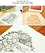 Inkadinkado Sparrow Wood Stamp for Scrapbooking and Card Decorating, 2.25'' W x 2.25'' L
