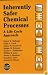 Inherently Safer Chemical Processes: A Life Cycle Approach (Center for Chemical Process Safety (Ccps).)