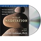 Click here to buy The Art of Meditation by Prof. Daniel Goleman Ph.D..