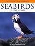 Seabirds of the World