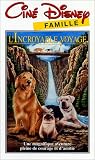 Revue Buena Vista Home Entertainement  / L'Incroyable voyage